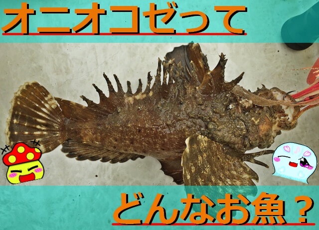 Thumbnail of post image 072